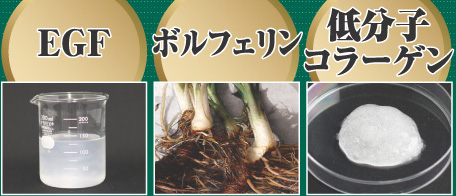 馬プランタを補助する3つの成分の画像です
